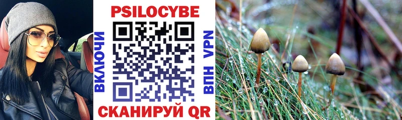 Псилоцибиновые грибы Psilocybine cubensis  shop как зайти  Калининск 